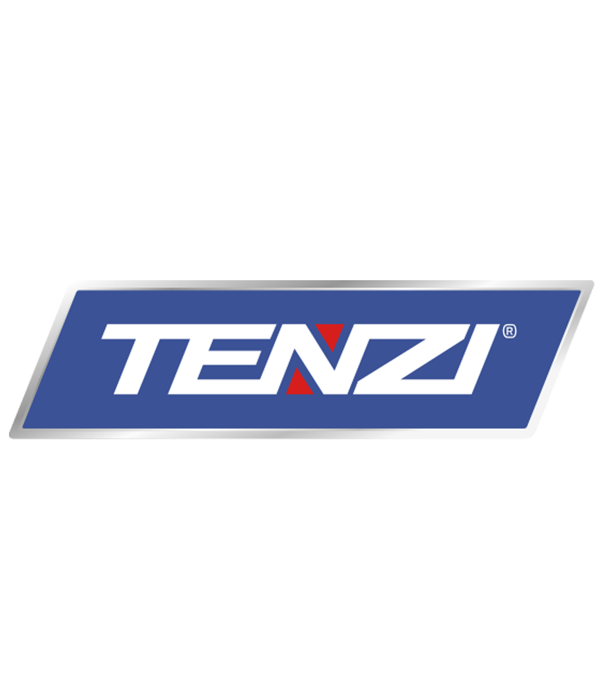 TENZI